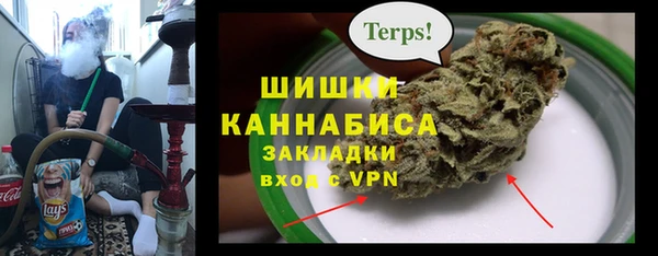 гидра Протвино