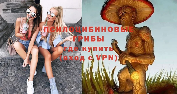 гидра Протвино