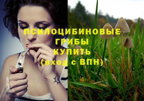 гидра Протвино