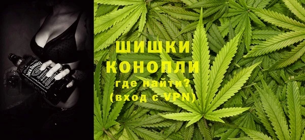 гидра Протвино