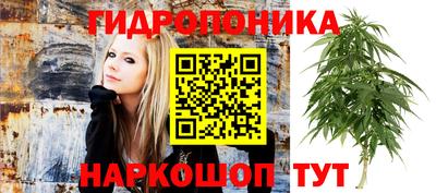 ГАЛЛЮЦИНОГЕННЫЕ ГРИБЫ Абакан