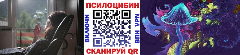 kraken маркетплейс сколько стоит Барабинск Псилоцибиновые грибы Cubensis