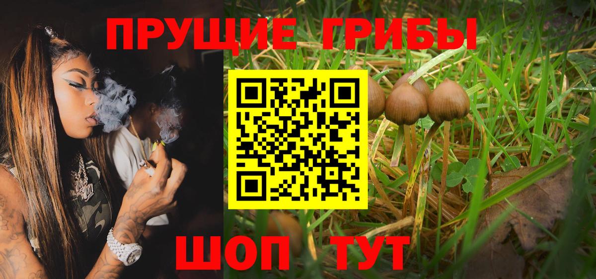 где купить наркоту  Псилоцибиновые грибы мицелий  Барабинск  Псилоцибиновые грибы мицелий 
