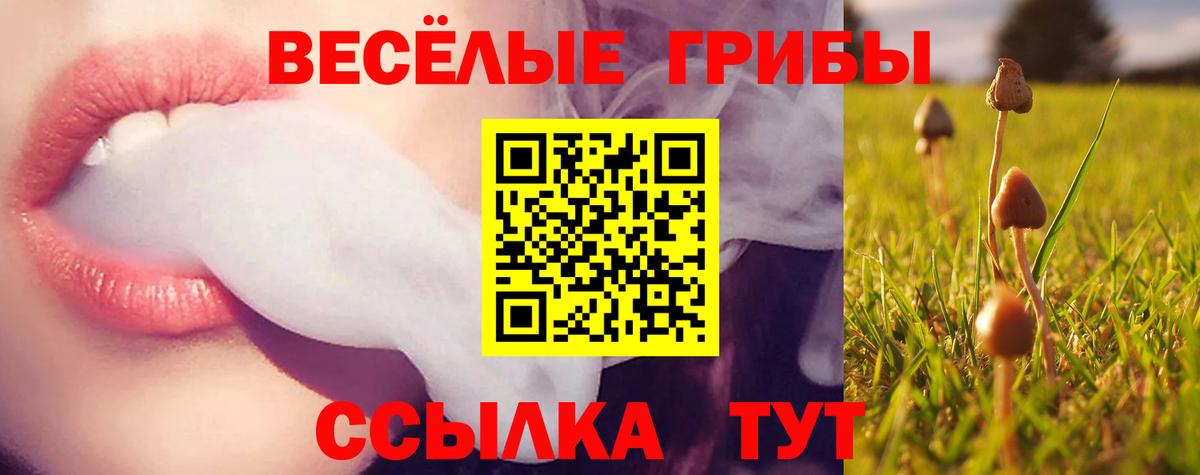 Галлюциногенные грибы MAGIC MUSHROOMS  Вход с VPN  Барабинск 